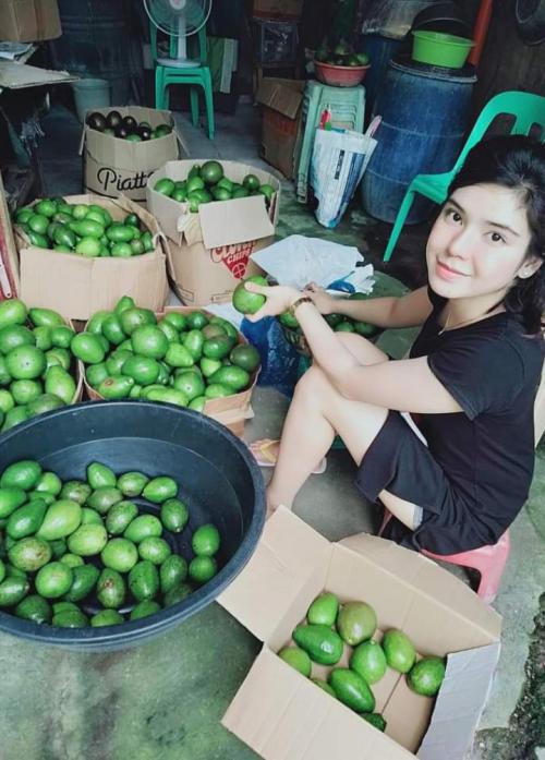 Pakar Gizi Sarankan Konsumsi Alpukat Setiap Hari, Ini Manfaatnya